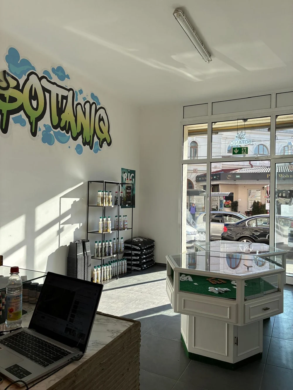 Botaniq Growshop in Wien – Innenraum mit Graffiti-Logo und Produkten
